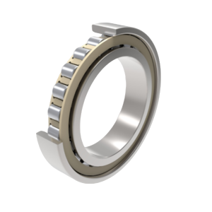 N1008-K-PVPA1-SP - ekb-podshipnik.ru - Екатеринбург